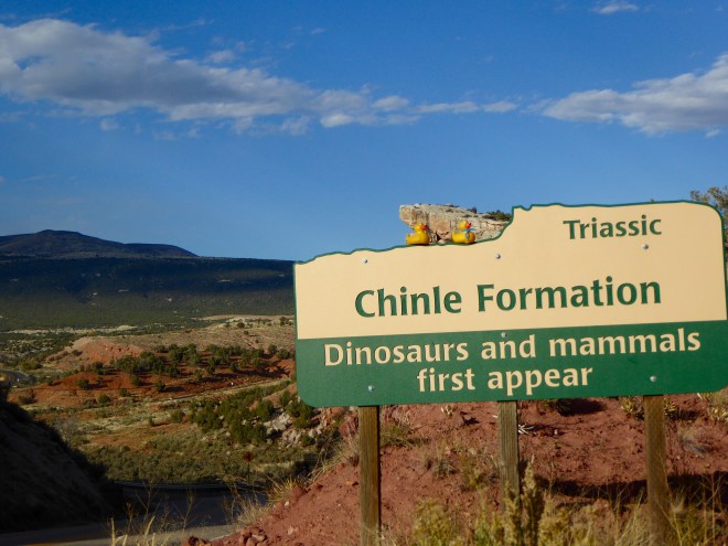 Dinosaurs and mammals here