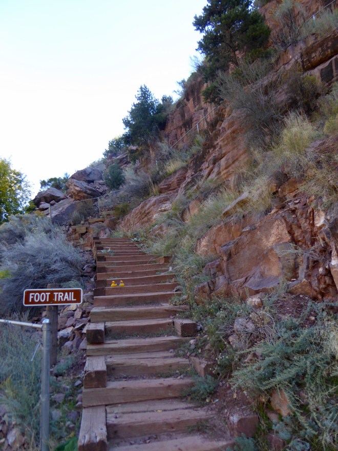 Foot Trail between river and parking