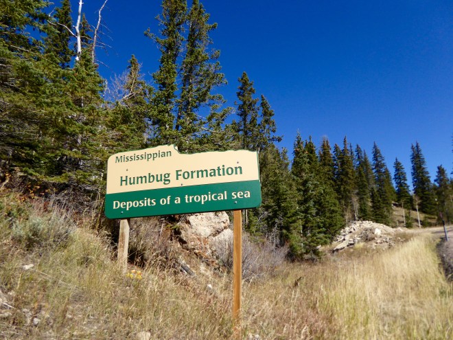 Humburg Formaton. Deposits of a Tropical Sea Really?