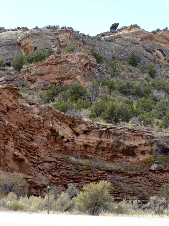 So many uses and changes over the last 150 million years