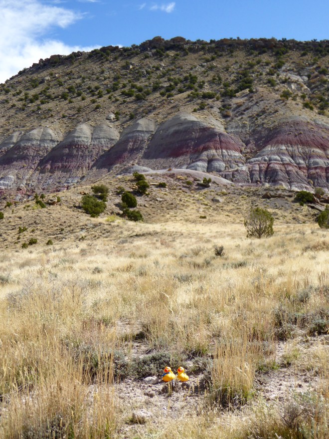 Stegosaurus here? Let's get out of here