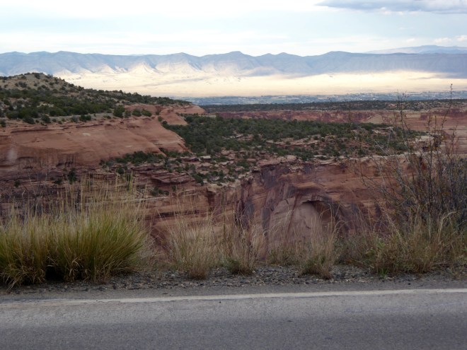 So many possible homes for animals