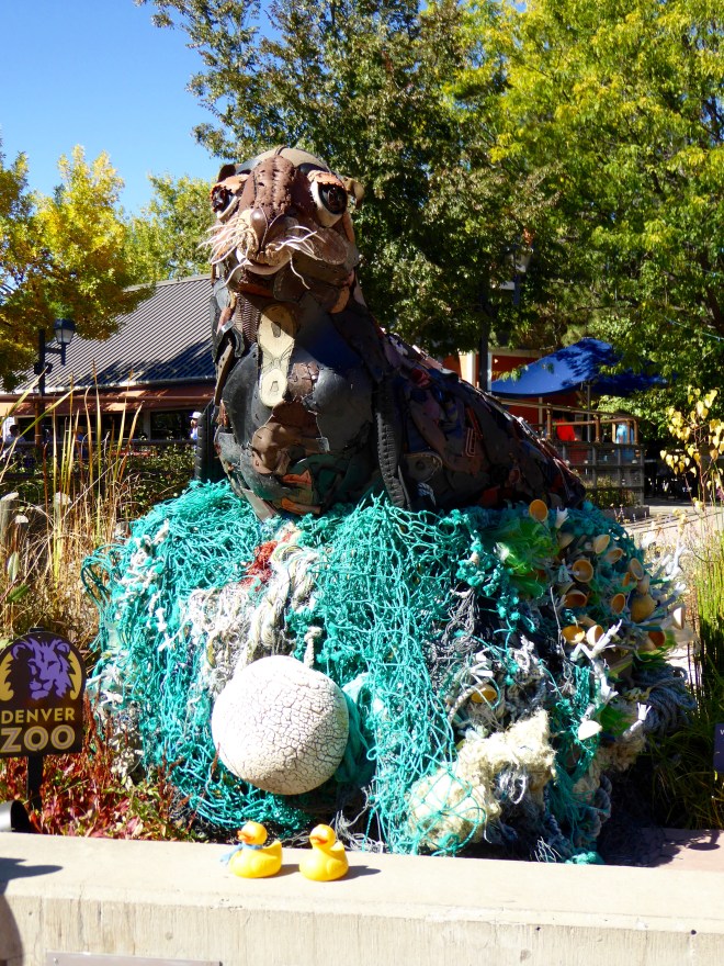 See More the Sea Lion Pup