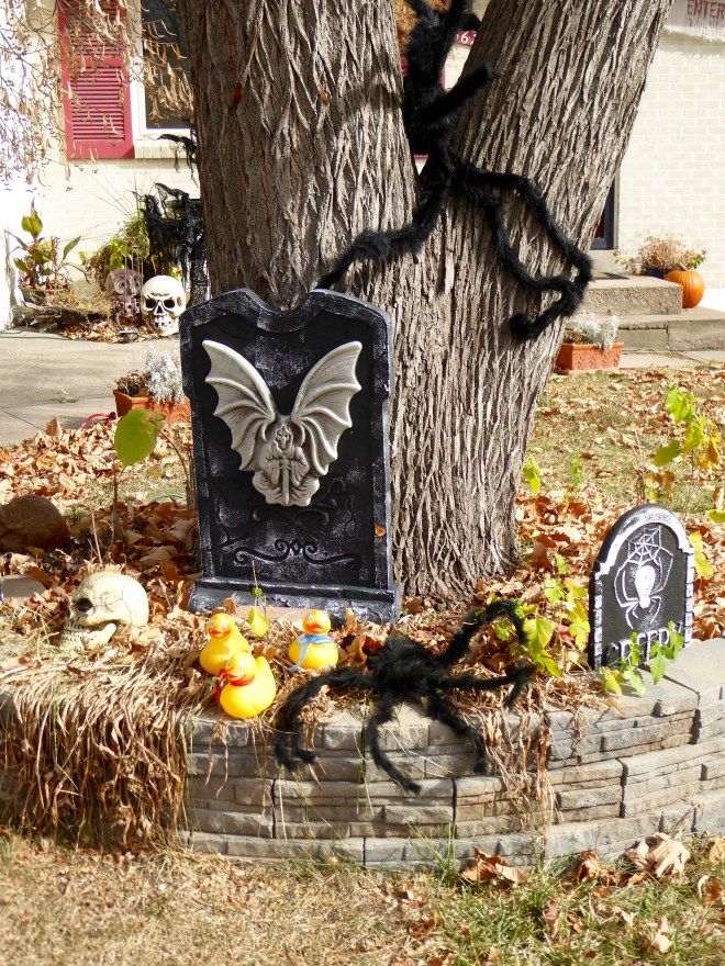 Giant spiders in the tree???