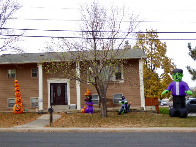 Friendly if it sunny