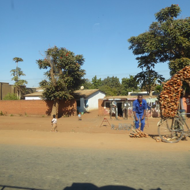 Loading firewood on bicycle