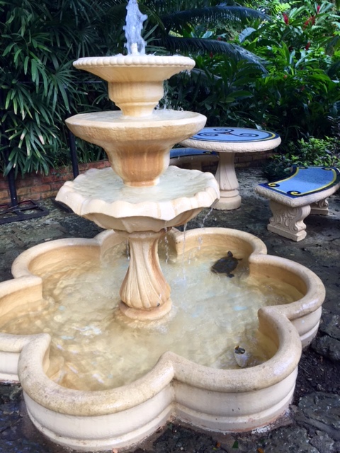 Turtle in the fountain