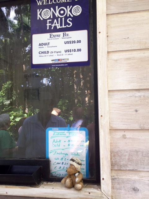 Let's go to Konoko Falls