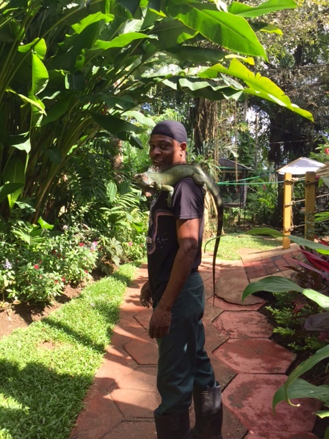 Man with huge iguana