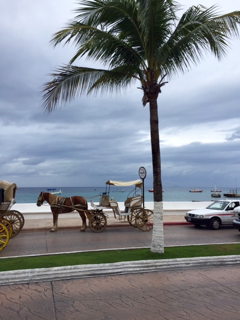 Horse drawn carriages in Cozumel, Mexico