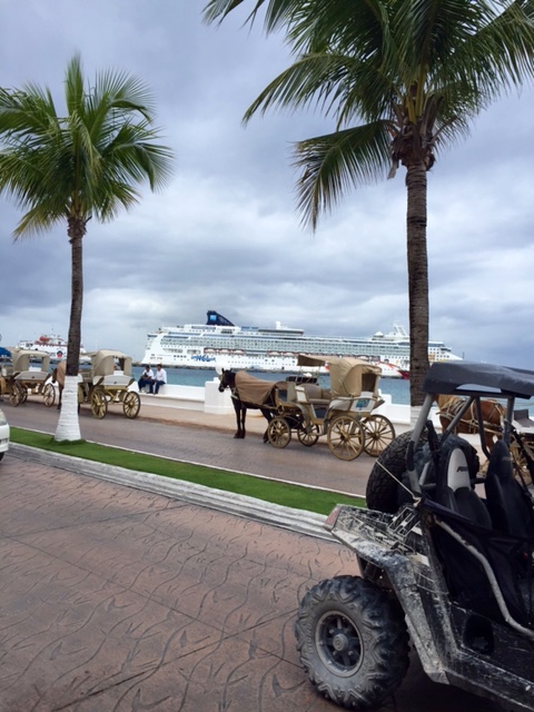 That cruise ship is huge