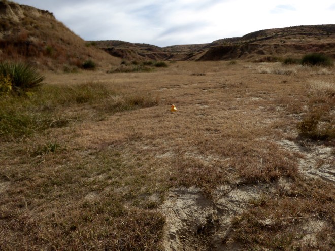 Not flat Kansas landscape here