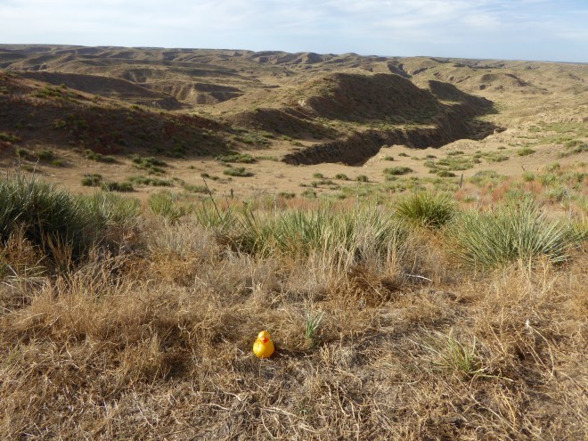 We really did see this in NW Kansas. Badlands?