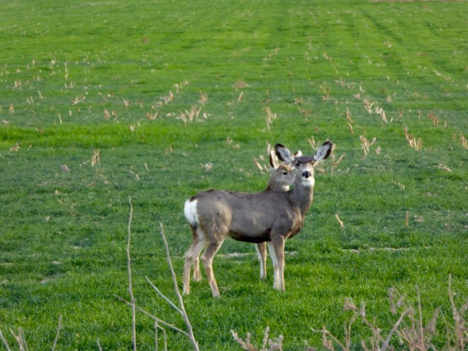 We are being watched