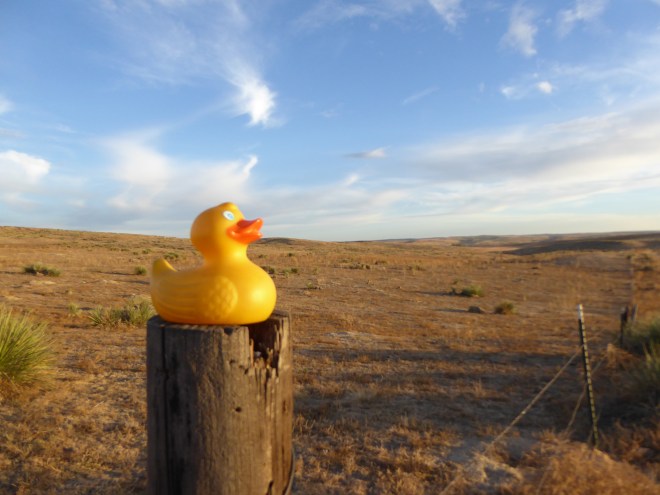 Observing 3 states. Getting flatter in all directions.