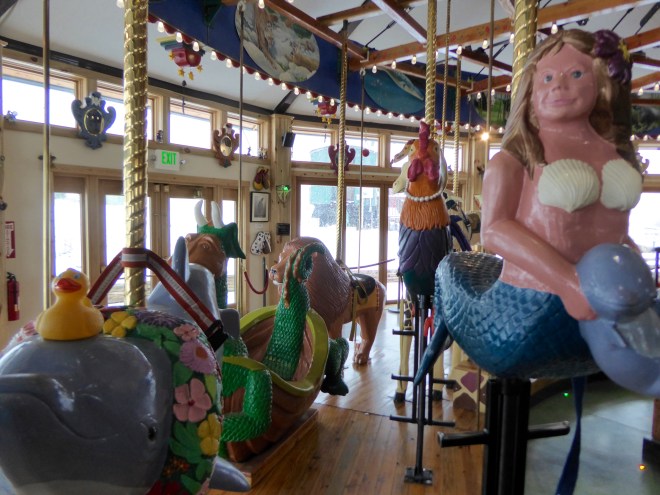 My first dolphin ride