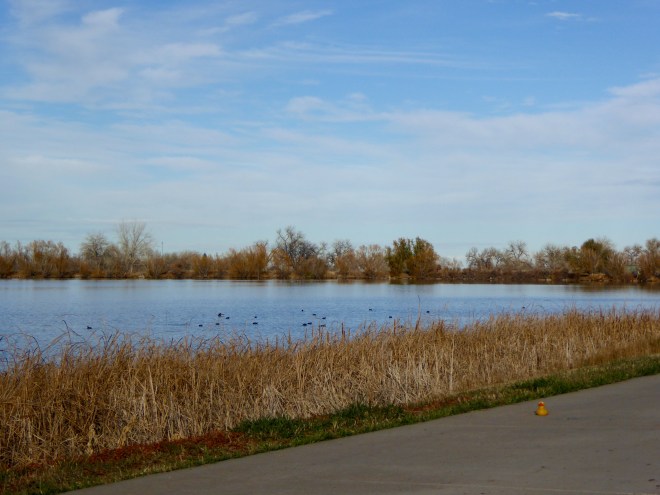 Paved trail around Crown Hill Lake