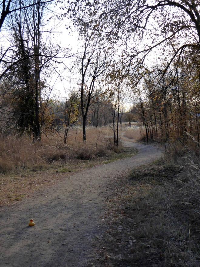 Unpaved through wilderness areas