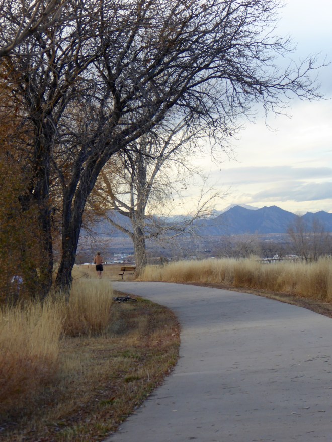 Running and jogging around the lake