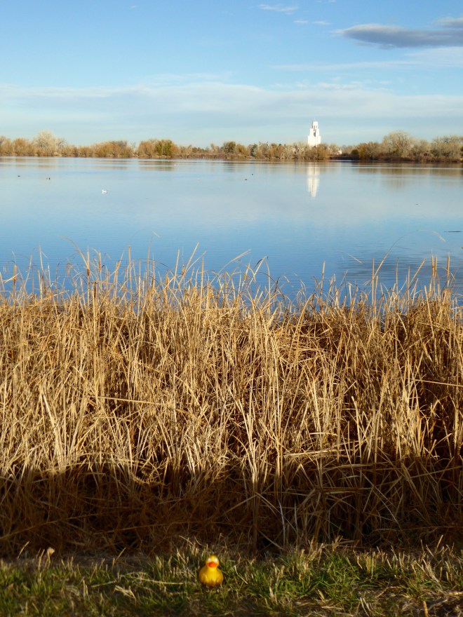 Looking across lake to Tower of Memories in Crown Hill Cemetery
