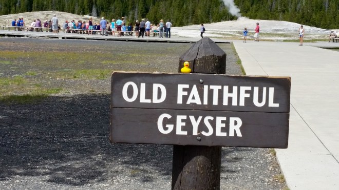 Old Faithful Geyser