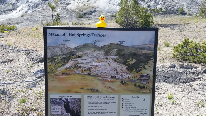 Mammoth Hot Spring Terrace