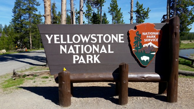 Yellowstone National Park with Ms. Ducky