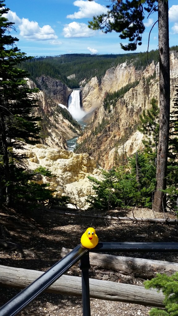 Canyon and waterfalls in Yellowstone National Park