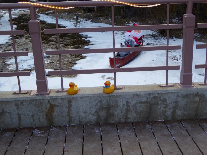Canoe with friends in Clear Creek