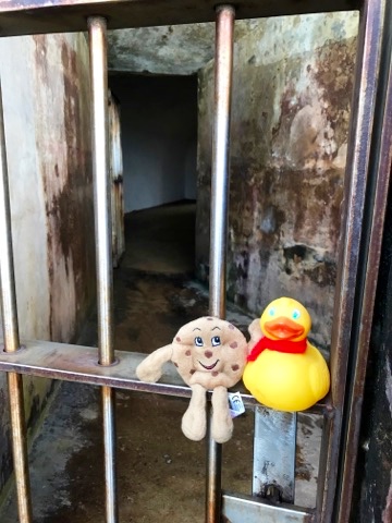 Bucket and Chip--don't go inside that prison cell.