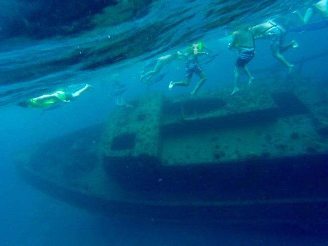 What you can see snorkeling in Barbados