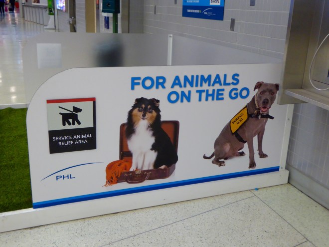 Dogs in airports