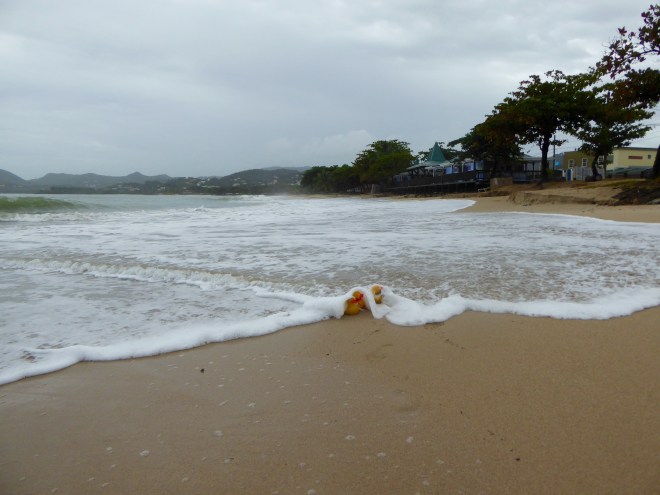 Are we swimming alone? Mom!!