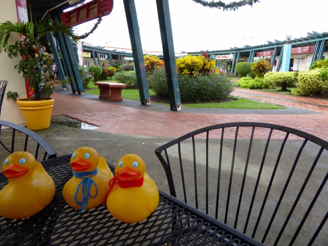 Safe, dry and hungry in St. Lucia