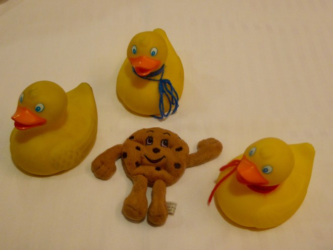 Colorado Traveling Ducks met Chip, Doubletree Hotel's chocolate chip cookie.