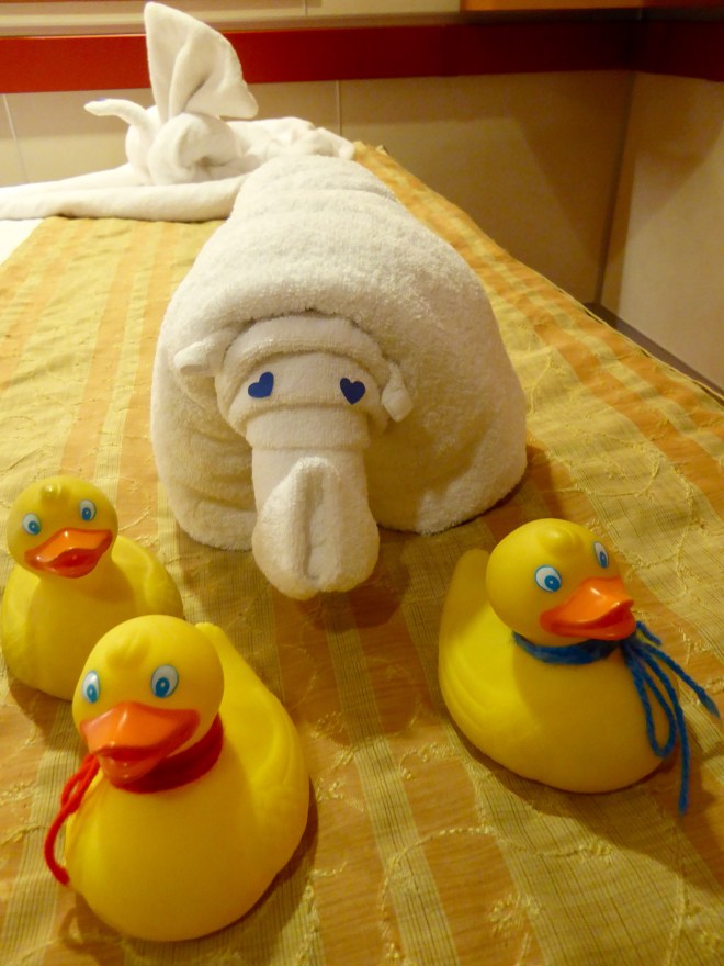 Our last towel friend