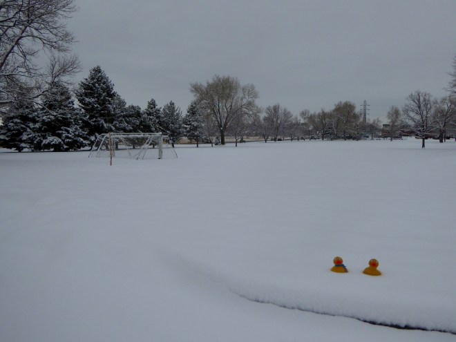 Fresh snow on school play ground