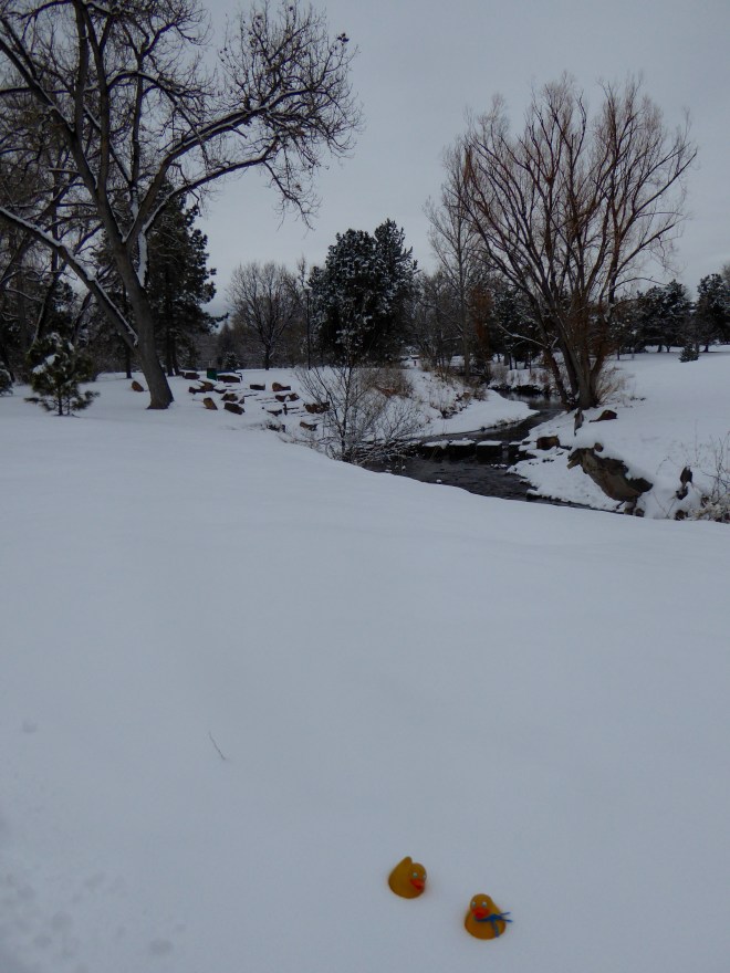 A city park in our town