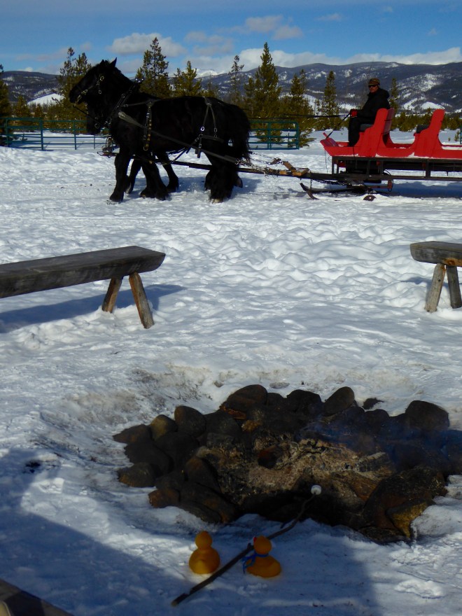 Roasting marshmallows with empty horse drawn sleigh behind.