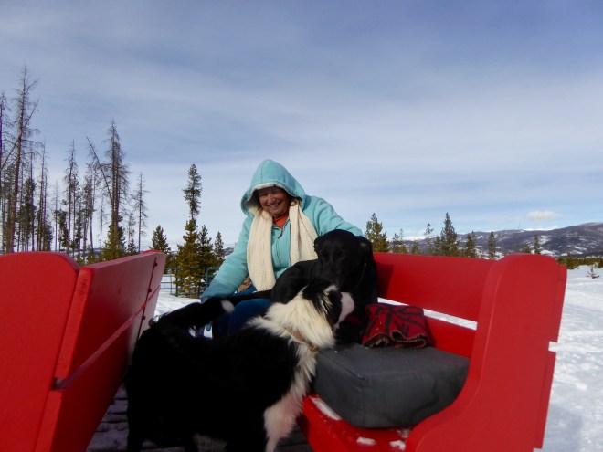 Chip and Stevie in the sled