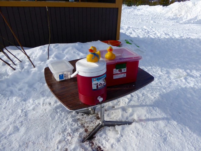 Cups, hot chocolate, and marshmallows are here.