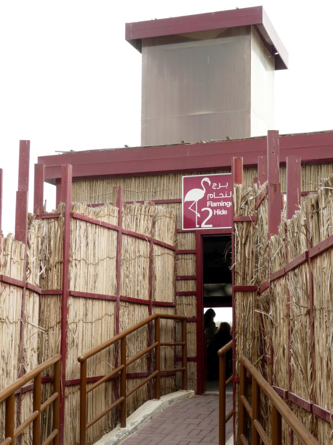 Flamingo Hide