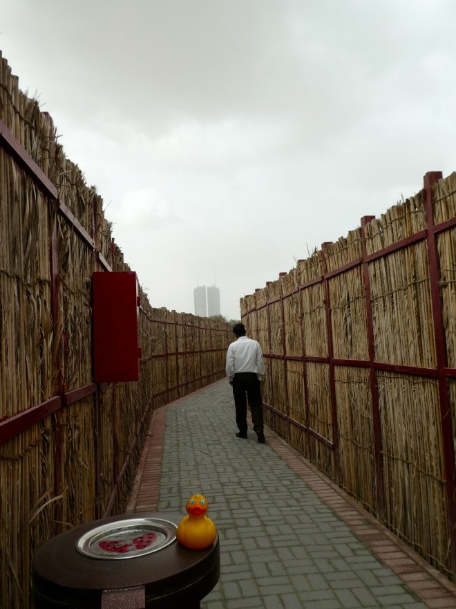 Following our driver