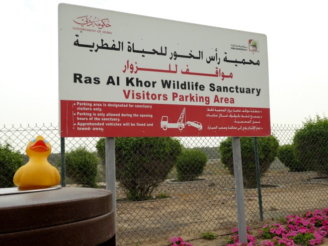 Here we are at the Wildlife Sanctuary