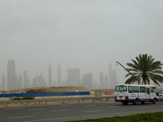 Flamingos are close to downtown Dubai