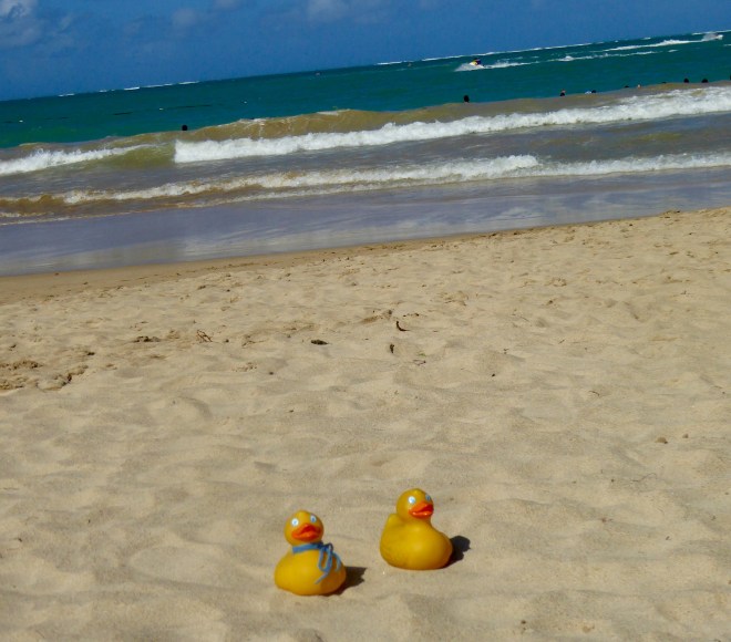 We love the sand and water